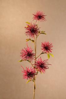 DRY MINI XANTHIUM Aranžovací květina červená 53 cm