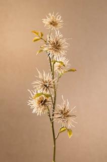 DRY MINI XANTHIUM Aranžovací květina krémová 53 cm