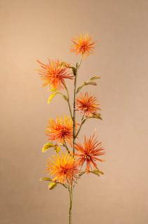 DRY MINI XANTHIUM Aranžovací květina oranžová 53 cm