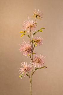 DRY MINI XANTHIUM Aranžovací květina růžová 53 cm