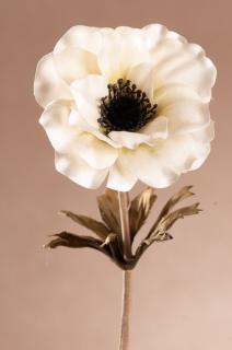 DRY SINGLE ANEMONE Aranžovací květina bílá 35 cm