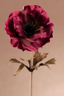 DRY SINGLE ANEMONE Aranžovací květina červená 35 cm