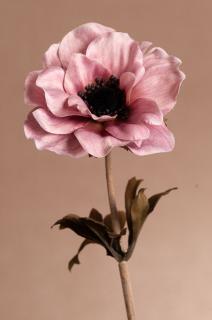 DRY SINGLE ANEMONE Aranžovací květina růžová 35 cm