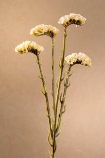 DRY STATICE Aranžovací květina bílá 64 cm