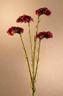 DRY STATICE Aranžovací květina červená 64 cm