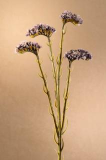 DRY STATICE Aranžovací květina modrá 64 cm
