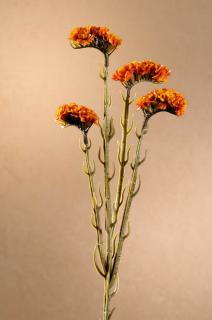 DRY STATICE Aranžovací květina oranžová 64 cm