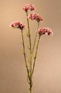 DRY STATICE Aranžovací květina růžová 64 cm