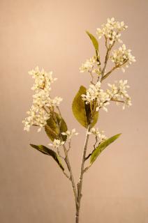 DRY VIBURNUM TINUS Aranžovací květina bílá 58 cm