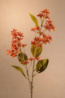 DRY VIBURNUM TINUS Aranžovací květina oranžová 58 cm