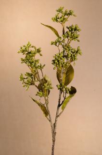 DRY VIBURNUM TINUS Aranžovací květina zelená 58 cm