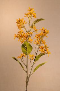 DRY VIBURNUM TINUS Aranžovací květina žlutá 58 cm