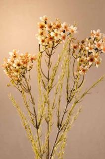 DRY WAX FLOWER Aranžovací květina krémová 78 cm