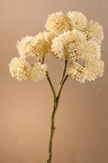 DRY WILD BERRY Aranžovací květina bílá 45 cm
