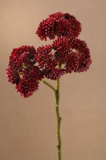DRY WILD BERRY Aranžovací květina červená 45 cm