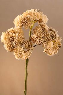 DRY WILD BERRY Aranžovací květina krémová 45 cm