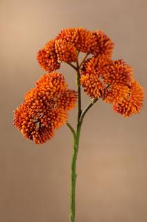 DRY WILD BERRY Aranžovací květina oranžová 45 cm