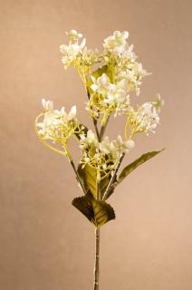 DRY WILD HYDRANGEA Aranžovací květina bílá 62 cm