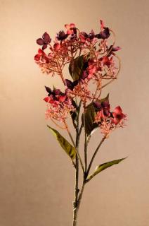 DRY WILD HYDRANGEA Aranžovací květina červená 62 cm