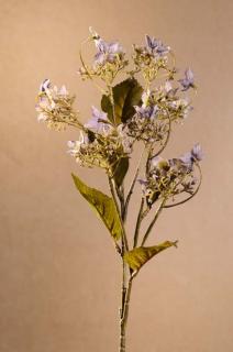 DRY WILD HYDRANGEA Aranžovací květina modrá 62 cm