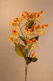 DRY WILD HYDRANGEA Aranžovací květina oranžová 62 cm