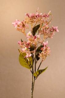 DRY WILD HYDRANGEA Aranžovací květina růžová 62 cm