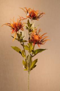 DRY WILD SEA HOLLY Aranžovací květina oranžová 67 cm