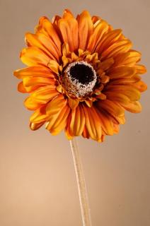 GERBERA Aranžovací květina oranžová 53 cm