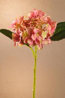 GERMAN HYDRANGEA Aranžovací květina růžová 45 cm