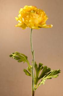 Ranunculus Aranžovací květina žlutá 51 cm