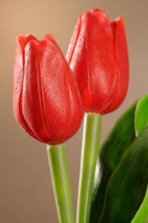 Umělý tulipán červený 40 cm