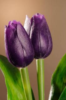 Umělý tulipán fialový 40 cm