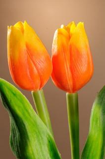 Umělý tulipán oranžovo žlutý 40 cm