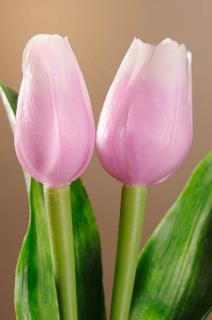 Umělý tulipán světle fialovo bilý 40 cm