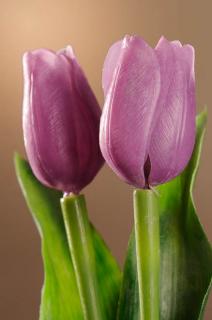Umělý tulipán světle fialový 40 cm