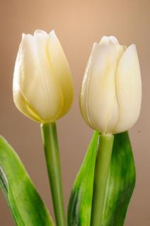 Umělý tulipán světle žluto bílý 40 cm