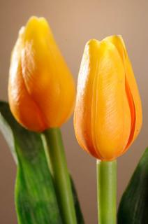 Umělý tulipán tmavě žlutý 40 cm