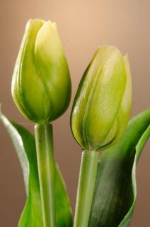 Umělý tulipán zelený 40 cm