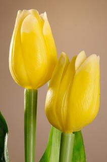 Umělý tulipán žlutý 40 cm