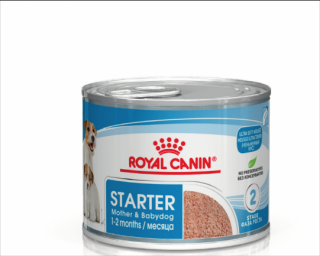 Veterinary Diet Dog  Pediatric Starter Mousse Can-0.195Kg