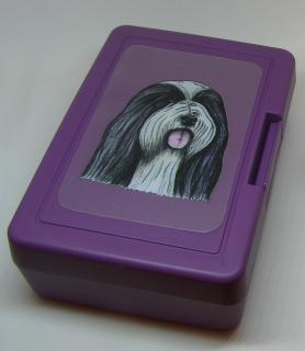 Bearded kolie - plastový box (objem 0,9 l / 1,2 l)