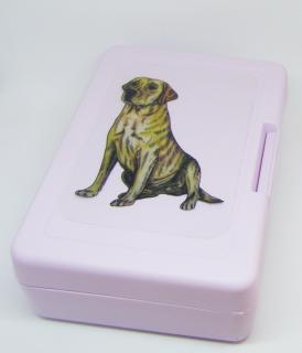 Labrador - plastový box  (objem 0,9 l / 1,2 l)