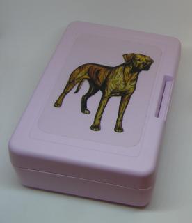 Ridgeback - plastový box (objem 0,9 l / 1,2 l)