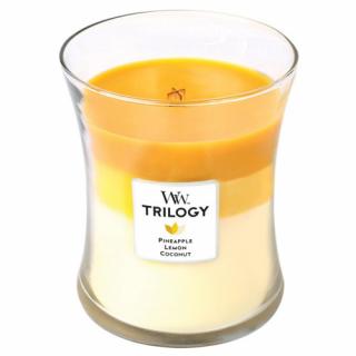 WoodWick svíčka oválná váza Trilogy 275 g Plody léta (Fruits of Summer)