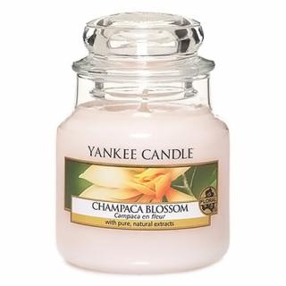 Yankee Candle svíčka ve skleněné dóze 104 g Květ magnólie champaca (Champaca Blossom)