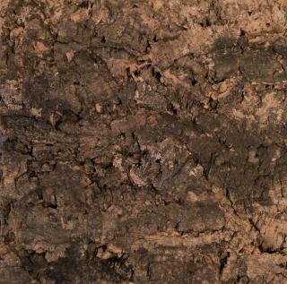 Obkladový korek Cork Bark, natur (Korkový obklad Country, Korek obkladový, korek k obložení )