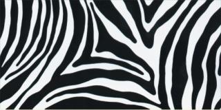 Samolepicí fólie ZEBRA (11029) - šíře 67,5 cm (samolepicí tapeta ZEBRA - šíře 67,5 cm)