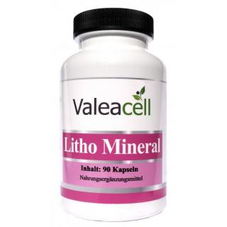 Litho Mineral