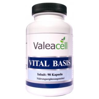 Vital Basis - základ pro vitalitu