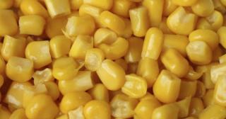Kukuřice vařená 4carp 3kg prichute: Med